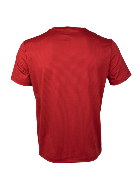 ATV 1873 Frankonia / Performance Tshirt (Regular fit)